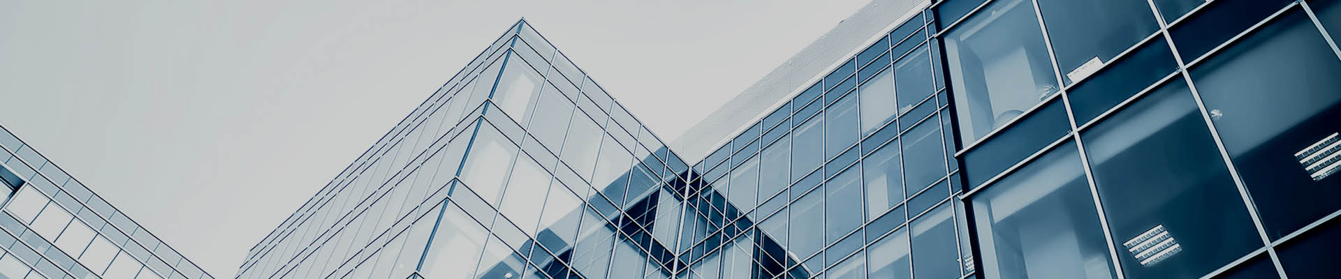 深圳市志成常丰电子材料有限公司